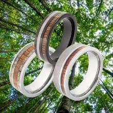 Ringe für Männer aus Naturholz vor dem Hintergrund hoher Bäume